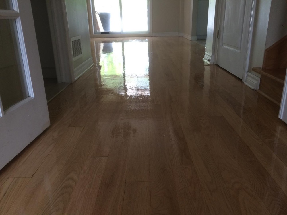 Rich, glossy refinish — Planchers Locas